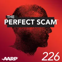 The Perfect Scam artwork