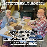 Propaganda By The Seed artwork