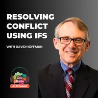 The One Inside: An Internal Family Systems (IFS) podcast artwork