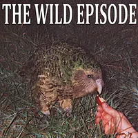 The Wild Episode artwork