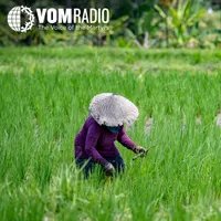 VOMRadio artwork