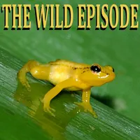 The Wild Episode artwork