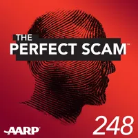 The Perfect Scam artwork