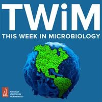 This Week in Microbiology artwork