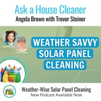 Ask a House Cleaner artwork
