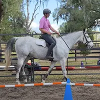 Stall and Stable: Ideas for Happy Horsekeeping artwork