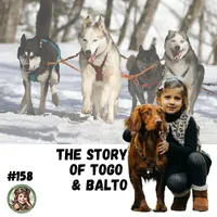 Real Cool History for Kids artwork