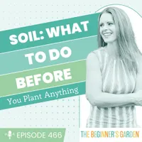 The Beginner's Garden with Jill McSheehy artwork