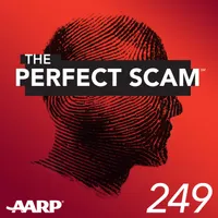 The Perfect Scam artwork