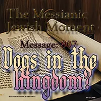 The Messianic Jewish Moment artwork