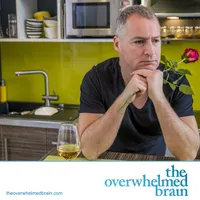 The Overwhelmed Brain artwork