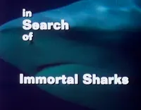 In Research Of artwork