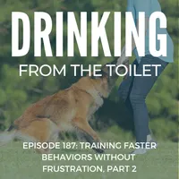 Drinking From the Toilet: Real dogs, Real training artwork
