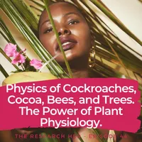 The Research Her artwork