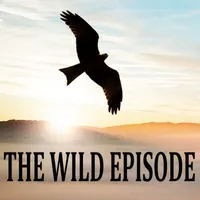 The Wild Episode artwork