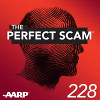 The Perfect Scam artwork