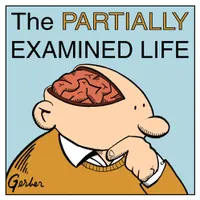 The Partially Examined Life Philosophy Podcast artwork