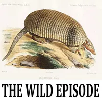 The Wild Episode artwork