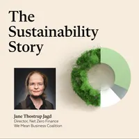 The Sustainability Story artwork