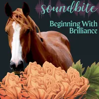 The Confident Rider Podcast artwork