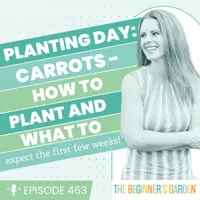 The Beginner's Garden with Jill McSheehy artwork