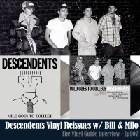 The Vinyl Guide - Artist Interviews for Record Collectors and Music Nerds artwork
