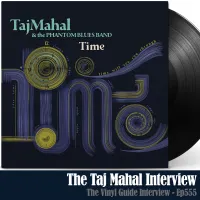 The Vinyl Guide - Artist Interviews for Record Collectors and Music Nerds artwork