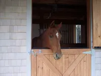 Stall and Stable: Ideas for Happy Horsekeeping artwork