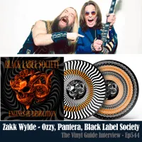 The Vinyl Guide - Artist Interviews for Record Collectors and Music Nerds artwork