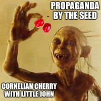 Propaganda By The Seed artwork