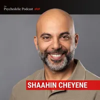 The Psychedelic Podcast artwork