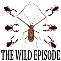 The Wild Episode artwork