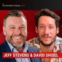The Psychedelic Podcast artwork
