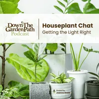 Down The Garden Path Podcast artwork