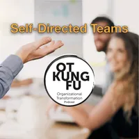 Leadership Kung Fu artwork