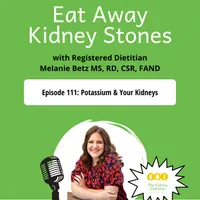 Eat Away Kidney Stones artwork