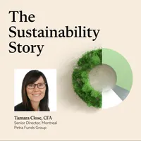 The Sustainability Story artwork