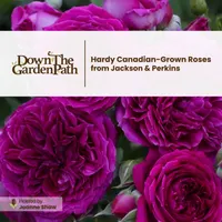 Down The Garden Path Podcast artwork