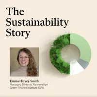 The Sustainability Story artwork