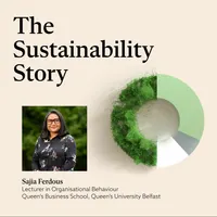 The Sustainability Story artwork