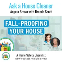 Ask a House Cleaner artwork