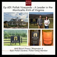 Wine for Normal People artwork