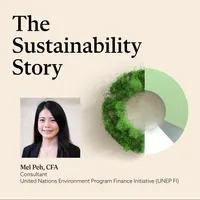 The Sustainability Story artwork