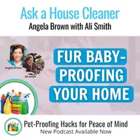 Ask a House Cleaner artwork