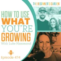 The Beginner's Garden with Jill McSheehy artwork