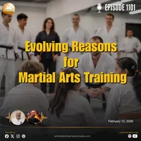 whistlekick Martial Arts Radio artwork