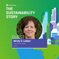 The Sustainability Story artwork
