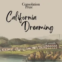 Consolation Prize artwork