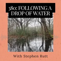 Roots and All - Gardening Podcast artwork