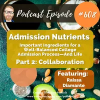 The College Essay Guy Podcast: A Practical Guide to College Admissions artwork